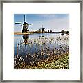 Kinderdijk Mills Framed Print
