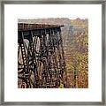 Kinzua Railroad Viaduct  2655 Framed Print
