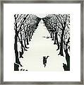 The Cat That Walked By Himself Framed Print