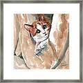 Kitten Framed Print