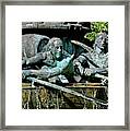 Koblenz Germany Fountains Framed Print