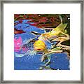 Koi Pond Fish - Friendly Enemies - By Omaste Witkowski Framed Print