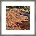 Kolob Reservoir Road Sandstone In Zion Np Framed Print