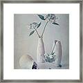 Lacecap Hydrangeas And Blueberry Framed Print