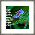 Ladybug With Scripture Framed Print