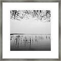 Lake Tarpon Framed Print