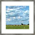 Landscape Hay Bales And Barns Framed Print