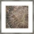 Landscape In Western Colorado From Space Framed Print