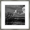 Landscape With Bush Framed Print