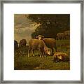 Landscape With Sheep And Shepherdess Framed Print