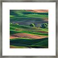 Late Afternoon In The Palouse Framed Print