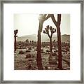 Late Afternoon Sepia Framed Print