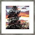 Late October Silhouettes Framed Print