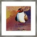 Laughing Gull Framed Print