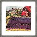 Lavender Farm With Red Barn Framed Print