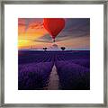 Lavender Field And Hot Air Balloon Framed Print