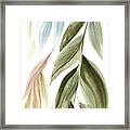 Leafy Cascade Framed Print