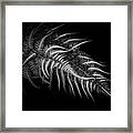 Lean On Me Framed Print