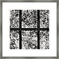 Leaves On A Trellis Framed Print