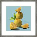 Lemon Fruit Still Life Framed Print