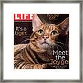 Life Cover: February 23, 2007 Framed Print