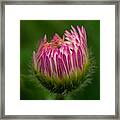 Life Energy Framed Print