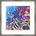 Life In The Tank Framed Print
