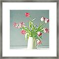 Light Pink Tulips In White Ceramic Framed Print