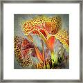 Lily In The Fog Framed Print