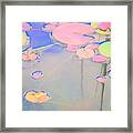 Lily Pads Framed Print
