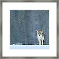 Limping Home In The Snow Framed Print