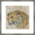 Lion Mosaic In The Ruins Of A Villa Framed Print
