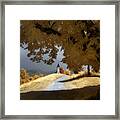 Little Infrared Church Framed Print