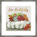 Live Gratefully Succulent Gray Pumpkin Arrangement By Jen Montgomery Framed Print