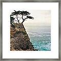 Lone Cyprus Framed Print