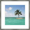 Lone Palm Tree On Small Island Framed Print
