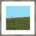 Lonely At The Top Framed Print