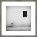 Lonely Dog Framed Print