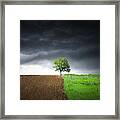 Lonely Tree Against A Dramatic Sky! Framed Print