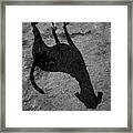 Long Dog Shadow Framed Print