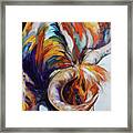 Longhorn Abstract Framed Print