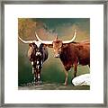 Longhorn Family Portrait Framed Print