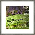 Look Deep Into Nature Framed Print
