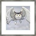 Look Out Framed Print