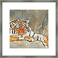 Lord Of The Jungle Framed Print
