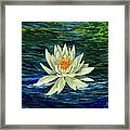Lotus Flower Framed Print