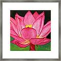 Lotus Flower Framed Print