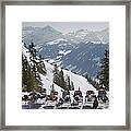 Lounging In Gstaad Framed Print