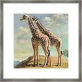 Love Among Giraffes Framed Print