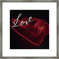 Love Rose Framed Print